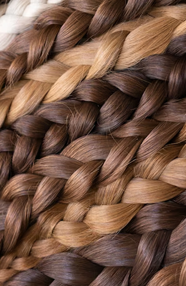 Close-up of multiple brown braided hairstyles showing texture and color – Braided Aura Nainital